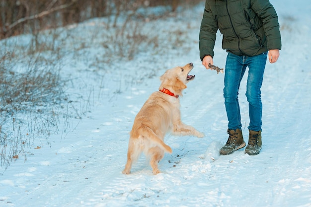 Zdjęcie mężczyzna uczy z psem golden retriever na zewnątrz