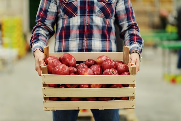 Mężczyzna w kraciastej koszuli trzyma drewnianą skrzynię pełną czerwonych soczystych organicznych jabłek