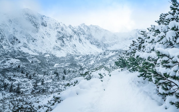 Mężczyzna wędrujący po górach zimą Zakopane Zdjęcia wysokiej jakości