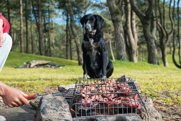 Mężczyzna z psem gotującym mięso z grilla na ruszcie grillowym na ognisku Przygotowanie mięsa wołowego z grilla w siatce grillowej na zewnątrz