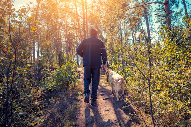 Mężczyzna Z Psem Labrador Retriever Spacerujący Po Lesie Jesienią