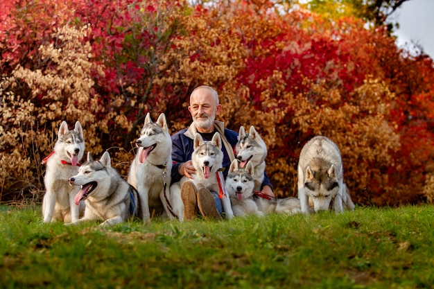 Mężczyzna z Siberian Husky psami na trawie