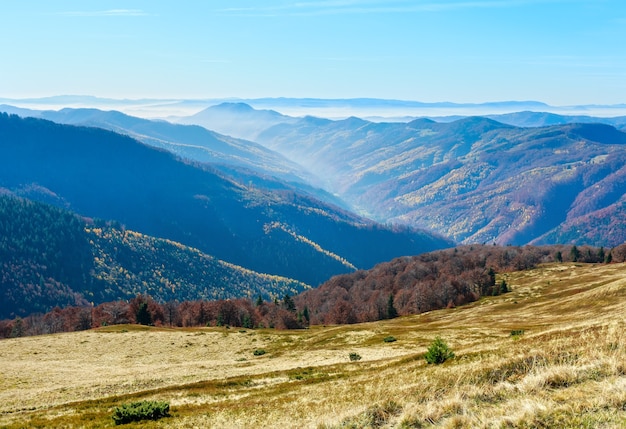 Mgła jesienią Karpacki i kolorowy las na stoku.