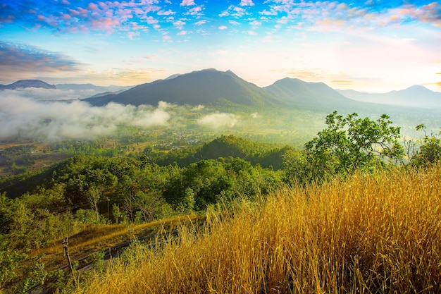 Mgła nad górą Phu Thok Chiang Khan Loei Province Tajlandia