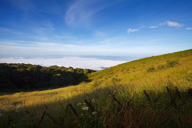 Mgła nad górą w parku narodowym Doi Inthanon Tajlandia