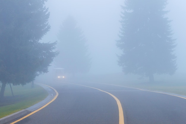 Mglista deszczowa droga autostradowa, słaba widoczność, ostrzeżenie o niebezpieczeństwie wypadku.