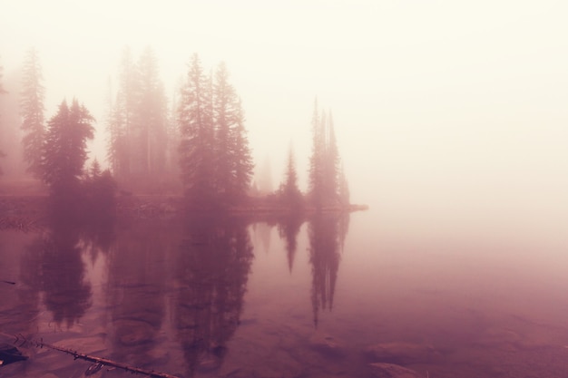 Zdjęcie mgliste górskie jezioro we wczesnych godzinach porannych w górach.