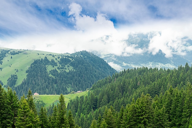 Mglisty płaskowyż z Giresun - Turcja