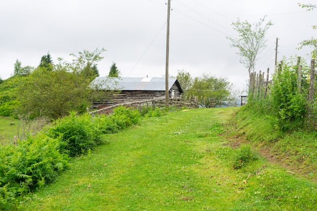 Mglisty płaskowyż z Giresun - Turcja