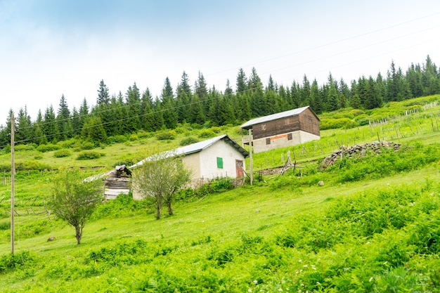 Mglisty płaskowyż z Giresun - Turcja