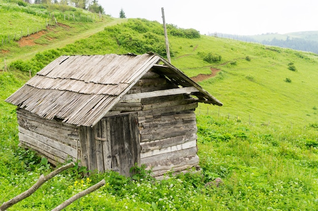 Mglisty płaskowyż z Giresun - Turcja