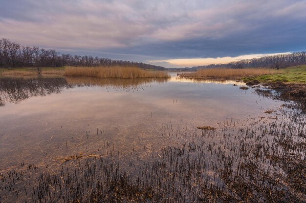 Mglisty poranek nad jeziorem