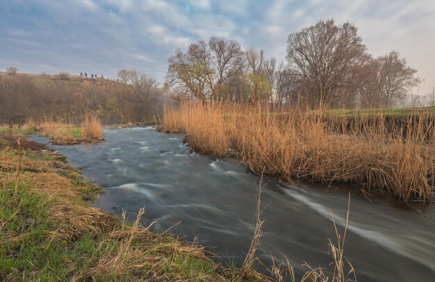 Zdjęcie mglisty poranek nad rzeką