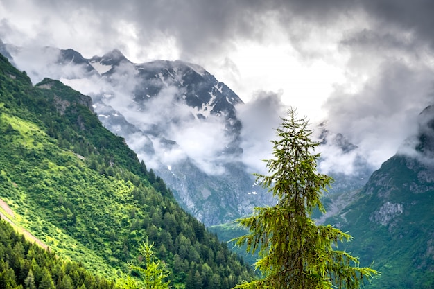 Mglisty Poranek We Włoskich Alpach, Południowy Tyrol, Włochy