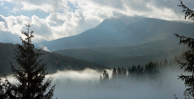 Mglisty świt Jesienią Karpat, Ukraina.