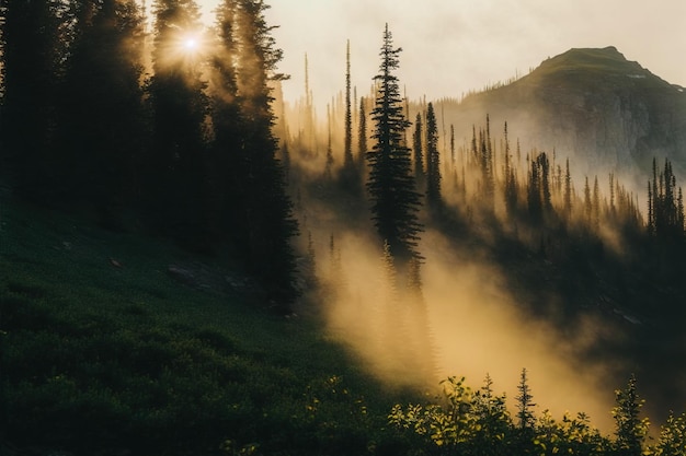 Mgłowy krajobraz z sosnowym lasem i górami