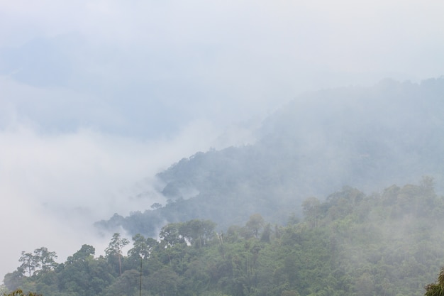 Mgły i chmury górskiej dolinie krajobraz