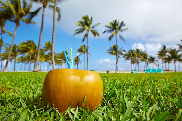 Zdjęcie miami south beach 2 słomki kokosowe na florydzie