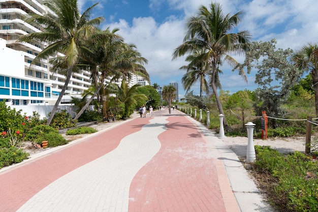 Miami, Usa 20 Marca 2021 R. Utwardzona Promenada ścieżka Dla Pieszych Z Tropikalnymi Palmami Na Florydzie