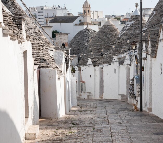 Zdjęcie miasto alberobello we włoszech słynie z tradycyjnych domów trullo