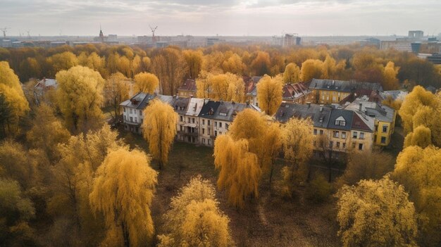 Miasto jesienią z żółtymi drzewami i kilkoma domami