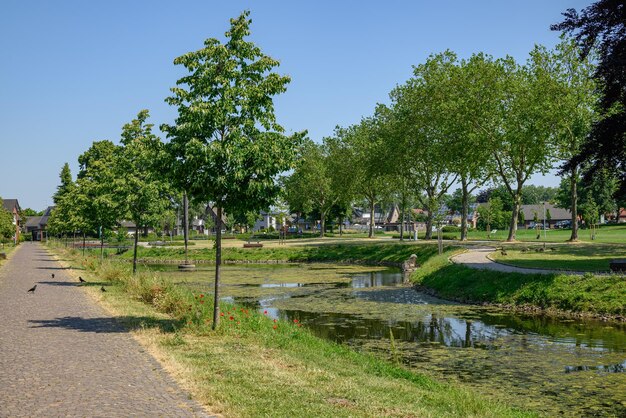 Miasto Raesfeld w Westfalii