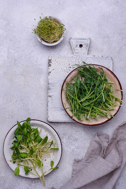 Microgreen groszku słonecznikowego i lucerny