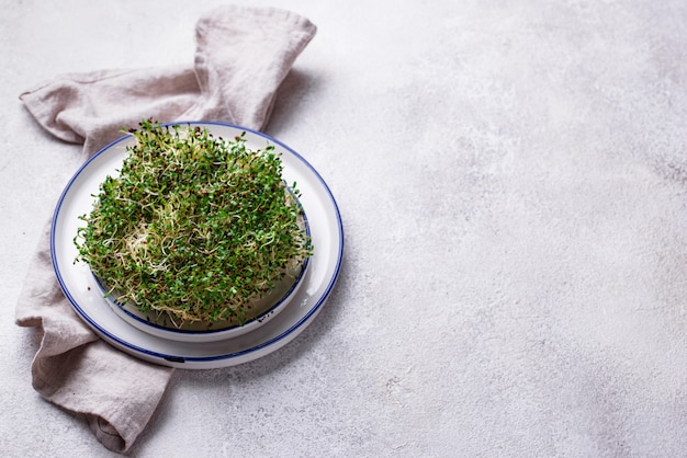 Microgreen kiełki lucerny. Zdrowe jedzenie