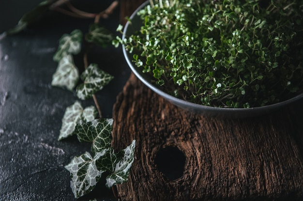 Microgreen W Szarym Naczyniu Na Drewnianym Rustykalnym