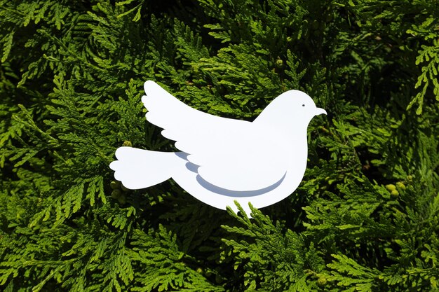 Zdjęcie międzynarodowy dzień pokoju lub światowy dzień pokoju symbol gołębia pokoju