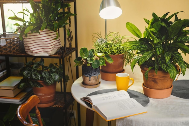 Miejsce do czytania w pobliżu roślin domowych z otwartą książką cyfrowa detoksykacja