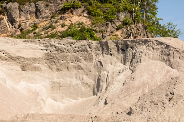 Miejsce Lęgowe Sand Martin Lub Jaskółek Brzegowych - Riparia Riparia - Kolonia Gniazdowa Na Tle Błękitnego Nieba