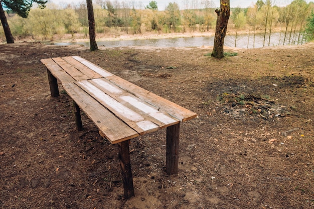 Zdjęcie miejsce piknikowe w lesie nad rzeką.