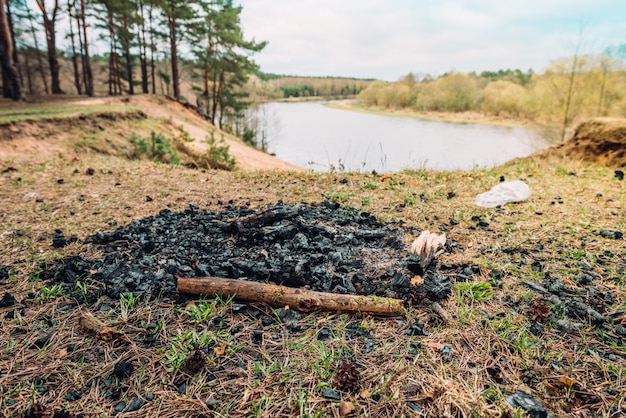 Zdjęcie miejsce piknikowe w lesie nad rzeką.