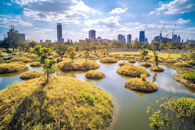 miejski park leśny