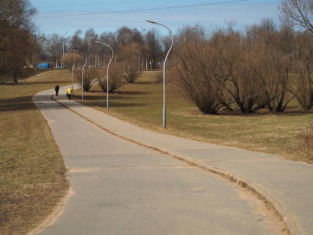 Miejskie krajobrazy Piękne drzewa i kręte ścieżki Murinsky Park SaintPetersburg Rosja