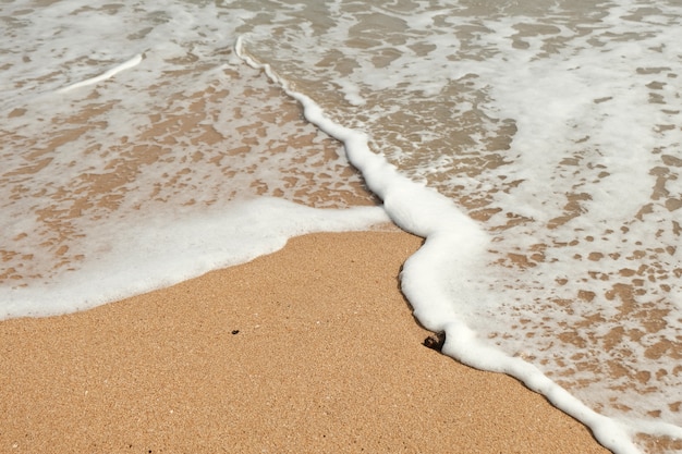 Miękka Fala Na Plaży