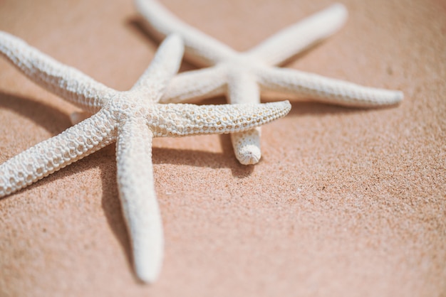 Miękka ostrość para piękna rozgwiazda na piaskowatej plaży