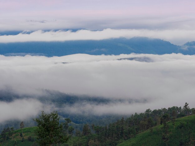 Zdjęcie miękki obraz porannej mgły chmura pokryta widokiem na góry w chiangmai, tajlandia
