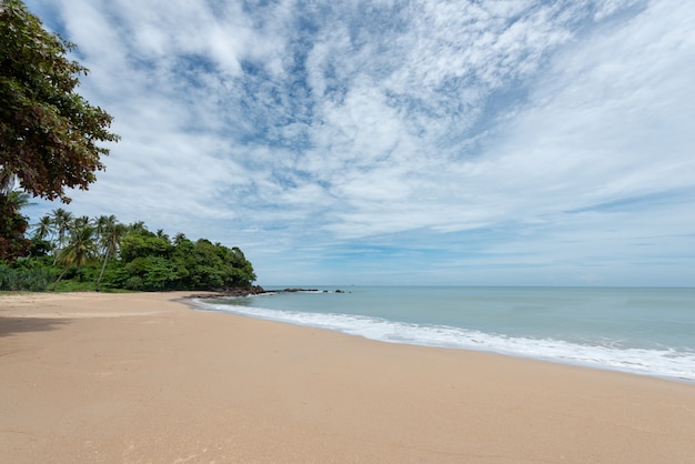 Miękkie fale na piaszczystej plaży