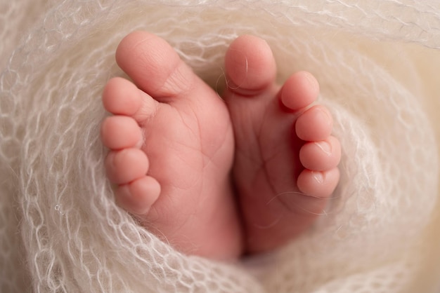 Miękkie stopy noworodka w białym wełnianym kocu Zbliżenie na palce, pięty i stopy noworodka Mała stopa noworodka Fotografia makro Stopy dziecka pokryte izolowanym tłem