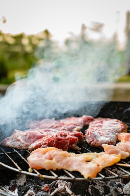 Mięso z grilla, wieprzowina, wołowina i kurczak na grillu, grill. Mała głębia ostrości.