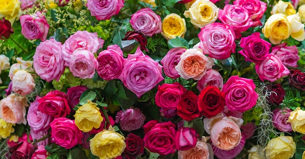 Mieszane wielo- barwione róże w kwiecistym wystroju, Kolorowy ślub kwitnie tło