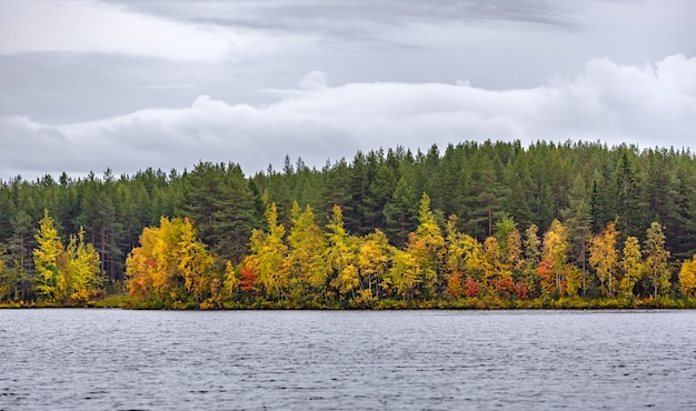 Mieszany las z kolorowymi liśćmi nad jeziorem. Jesienny krajobraz, Republika Karelii, Rosja.