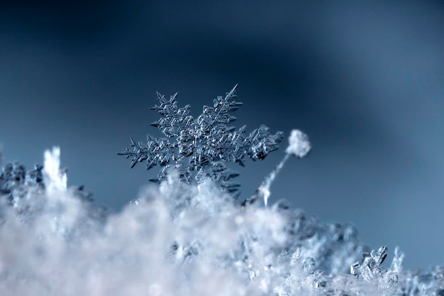 migawka małego płatka śniegu zrobiona podczas opadów śniegu Ferie zimowe i Boże Narodzenie w tle
