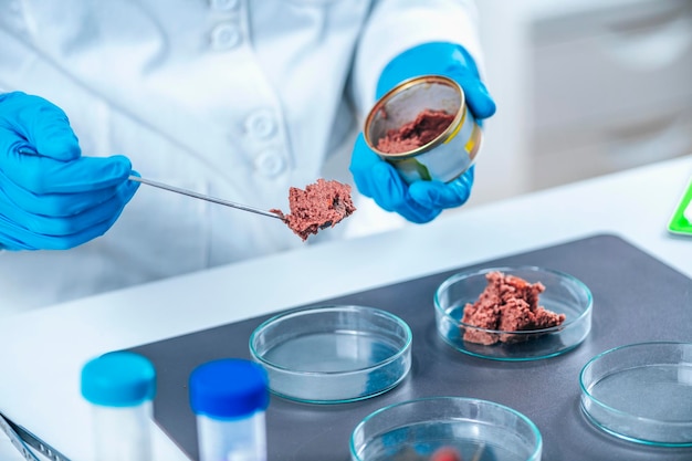 Zdjęcie mikrobiolog przygotowujący próbkę karmy dla zwierząt w puszkach do testu kontroli jakości w laboratorium