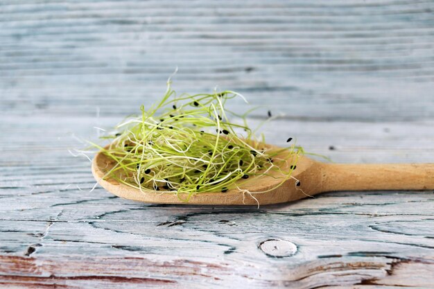 Mikrogreens świeże kiełki cebuli na drewnianym tle rośliny organiczne do sałatki zdrowe jedzenie