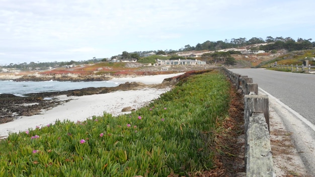 Mile drive malownicza droga Monterey w Kalifornii fale oceanu soczyste rośliny