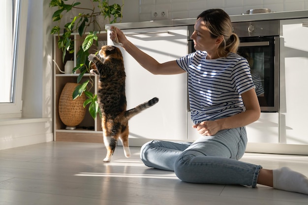 Miłośnicy zwierząt domowych i koncepcja życia domowego Młoda właścicielka bawi się puszystym słodkim kotem w domu na podłodze