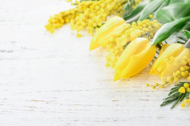 Mimosa i tulipany wiosenne kwiaty Wielkanoc lub Pascha seder biały drewniany tło z promieniami słońca i błyszczącymi kartką powitalną na Dzień Matki 8 marca Szczęśliwa Pascha lub Pascha tło Mock up